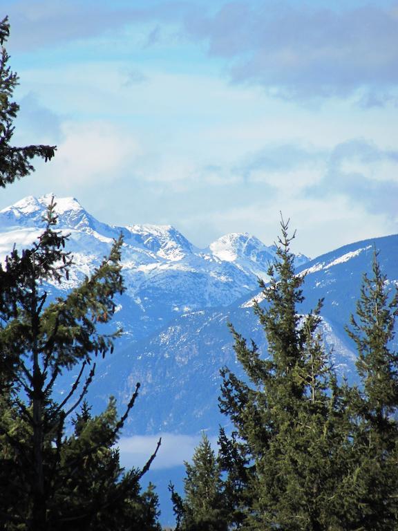 Greenwood Country Inn Pemberton Chambre photo